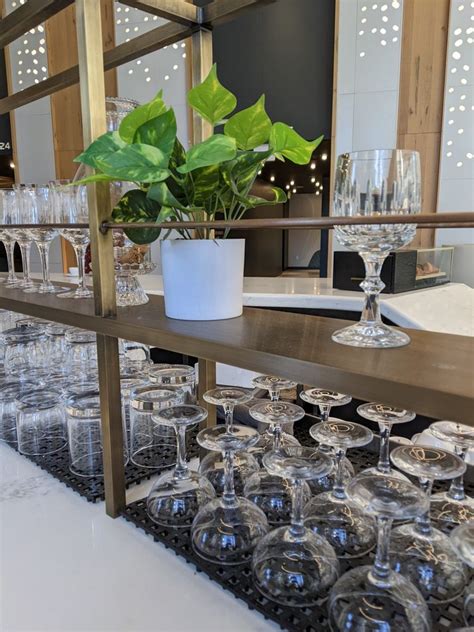 Little Owl Coffee - Tremont