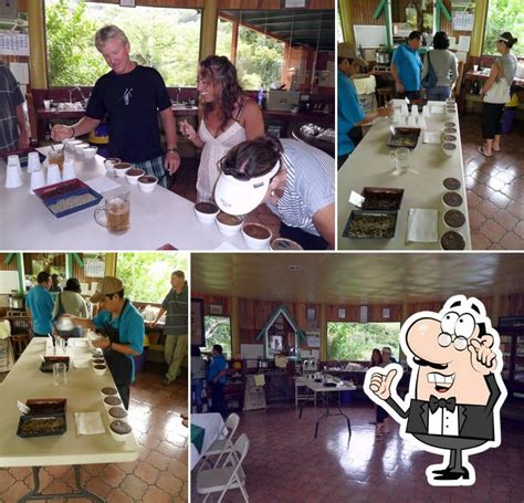 Barista Espresso & Specialty Roasters