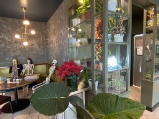 The Optimist Raleigh