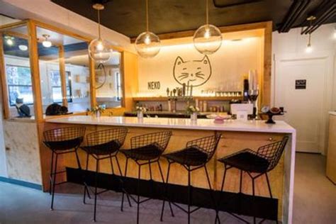 NEKO Cat Cafe Seattle