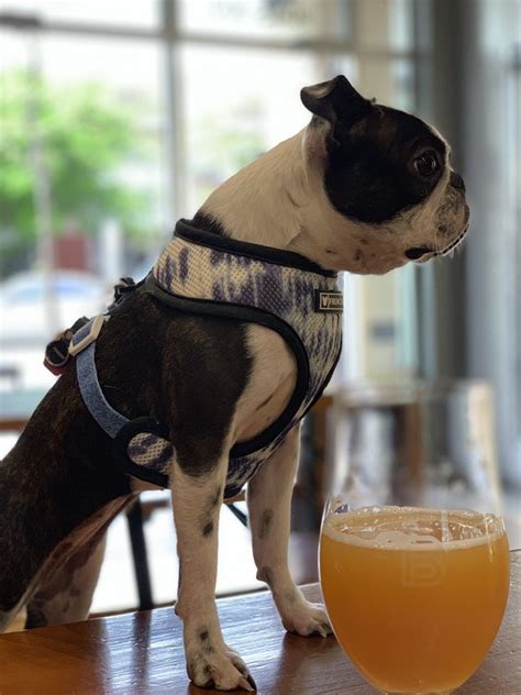 BarleyPop Tap & Shop