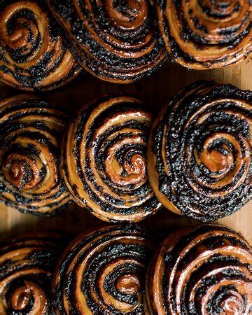 Fox in the Snow Cafe