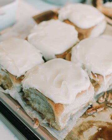 Fox In The Snow Cafe