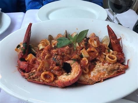 Sofia's of Little Italy