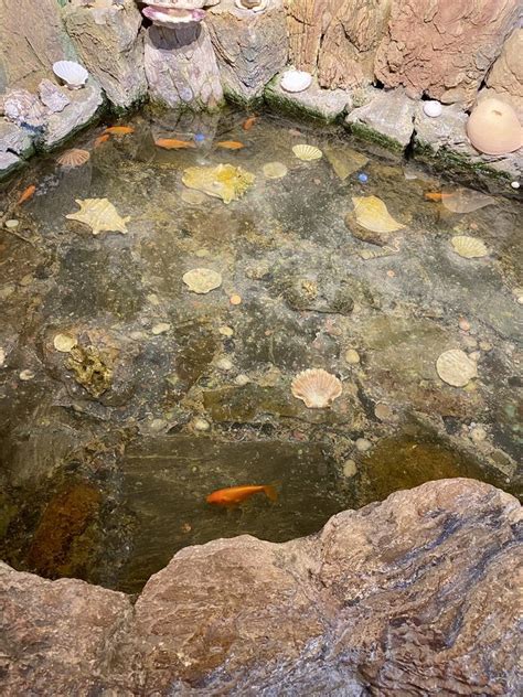 Graziano's Pizza Restaurant