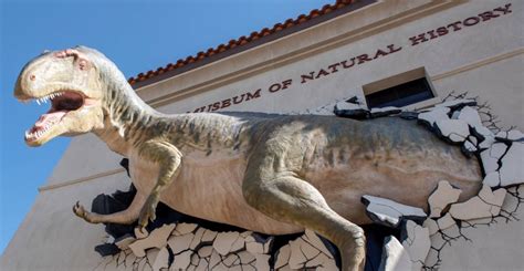 Arizona Museum of Natural History