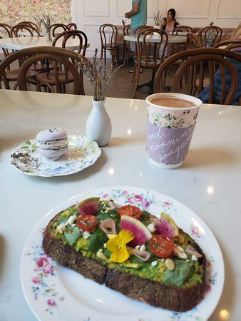 Morning Lavender Boutique & Cafe